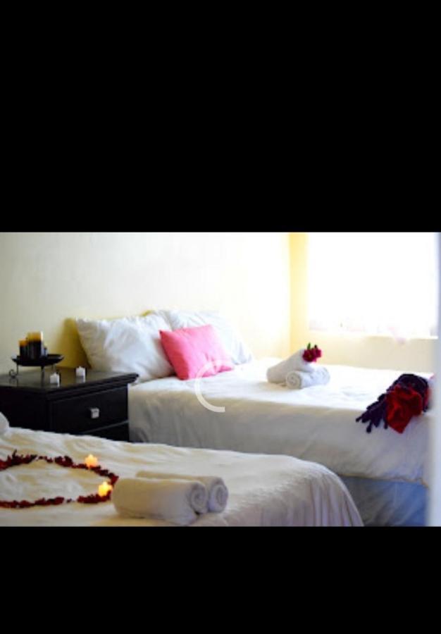 Falcon Lodge Нюкасъл Екстериор снимка