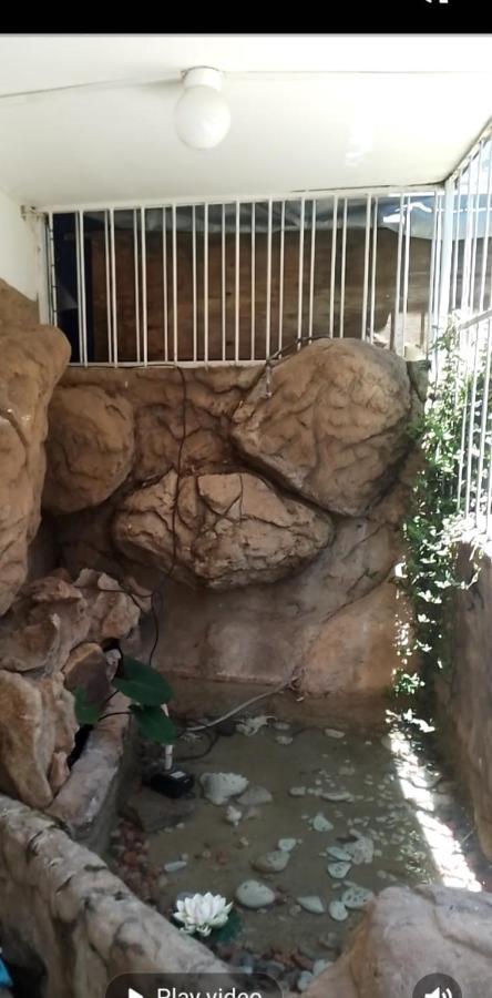 Falcon Lodge Нюкасъл Екстериор снимка
